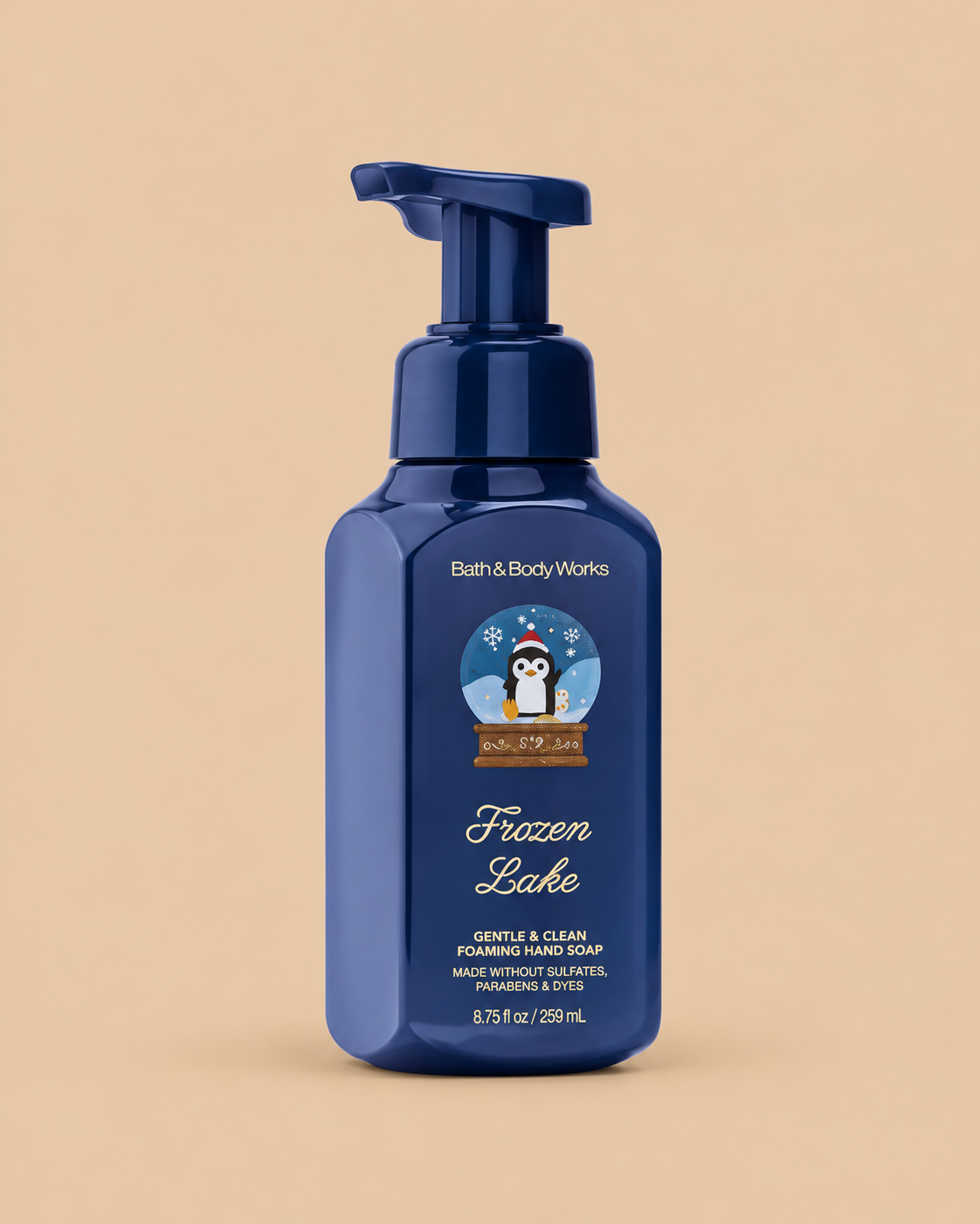 Bath & Body Works Frozen Lake Gentle & Clean Foaming Hand Soap